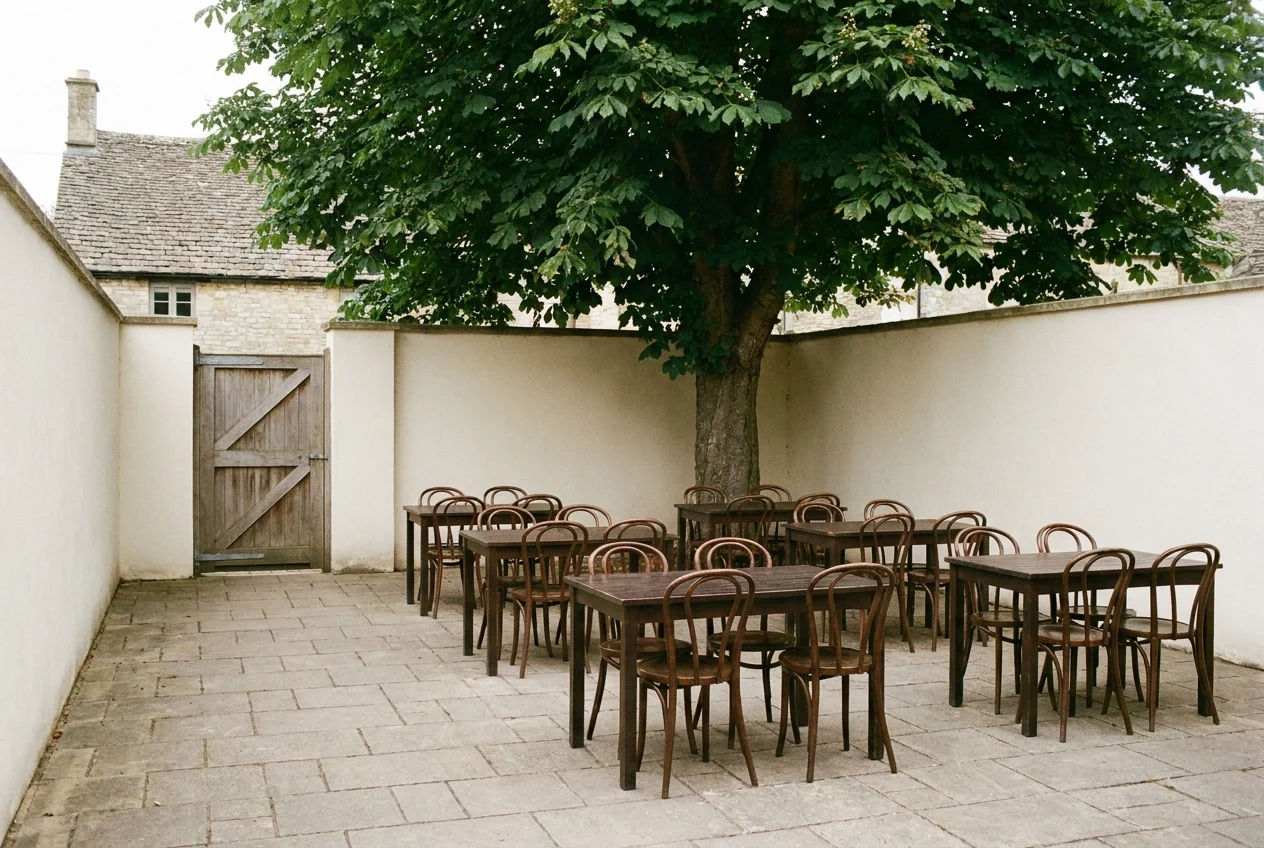 Der Hof hinter dem Haus, Stühle unter dem Baum